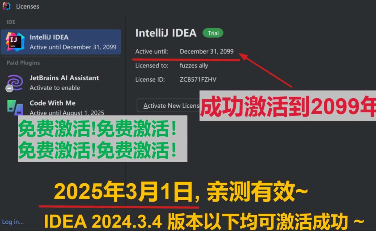 IDEA 2024.3.4 最新破解版安装教程（附激活码，至2026年~实际是永久）