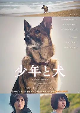 2025日本电影《少年与犬》免费在线观看-电影《少年与犬》无广告完整版高清画质在线  《少年与犬》电影电视剧高清播放-VS影院