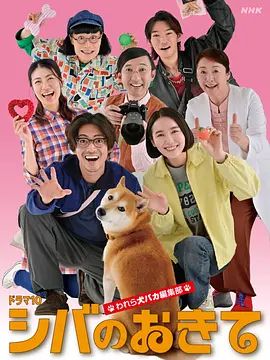 2025日剧《柴犬的规矩～我们这群狗痴编辑部》免费在线观看-剧集《柴犬的规矩我们这群狗痴编辑部》无广告完整版高清画质在线  《柴犬的规矩～我们这群狗痴编辑部》电影电视剧高清播放-VS影院