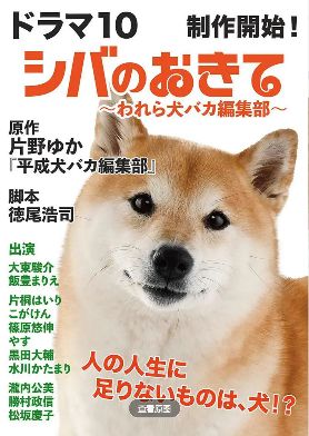 电视剧《柴犬的规矩～我们这群狗痴编辑部》未删减版高清在线观看《柴犬的规矩～我们这群狗痴编辑部》高清完整版在线观看无广告- VS影院_《柴犬的规矩～我们这群狗痴编辑部》2025日剧完整版