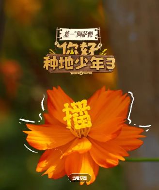 1761397216848608.jpg image.png