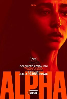 1765379491321546.jpg image.png