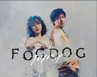 2025日剧《雾中之犬 FOGDOG》全集未删减免费在线观看_《雾中之犬 FOGDOG》高清无广告在线观看_电视剧《雾中之犬 FOGDOG》完整版在线观看
