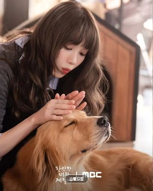 2026爱情韩剧《在你的灿烂季节》免费观看完整版高清视频《在你的灿烂季节》高清在线观看HD中字-全集完整版播放-《在你的灿烂季节》免费在线播放-首映在线观看-星辰影视-李圣经 / 蔡钟协