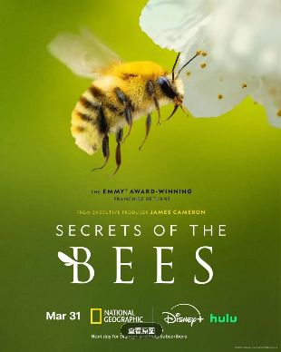 1775193447827740.jpg image.png