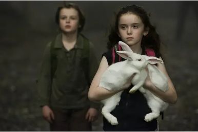 1775801560279669.jpg image.png