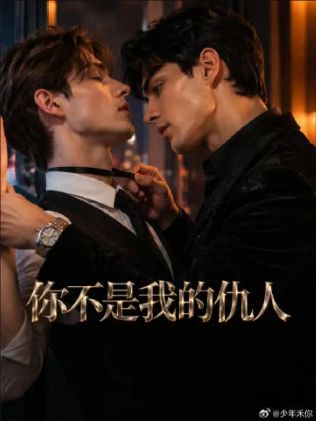 2026美剧《你不是我的仇人》全集1-33集高清在线观看_电视剧免费观看_美剧《你不是我的仇人》免费高清在线观看_欧美剧全集_VS影院